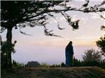 A couple hugging watching the sunset - thumbnail