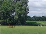 Picnic table in a grassy field with trees at A PRAIRIE BREEZE RV PARK - thumbnail