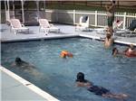 Campers enjoying the swimming pool at FORT WILDERNESS CAMPGROUND AND RV PARK - thumbnail