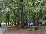 The tenting area surrounded by trees at FORT WILDERNESS CAMPGROUND AND RV PARK - thumbnail