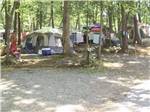 A row of tents in sites at FORT WILDERNESS CAMPGROUND AND RV PARK - thumbnail