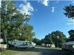 A row of back in RV sites at J & J RV PARK - thumbnail