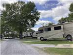 View larger image of A gravel road going between RV sites at BENCHMARK COACH AND RV PARK image #8