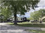 View larger image of A tree next to an RV site at BENCHMARK COACH AND RV PARK image #9