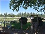 The fenced in garden plots at WILD ROSE RV PARK - thumbnail