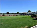 A large green grassy area at WILD ROSE RV PARK - thumbnail