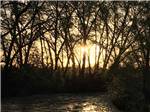 Breathtaking view of sunset thru trees at UNCOMPAHGRE RIVER ADULT RV PARK - thumbnail