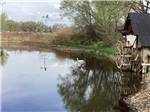 A swan in the pond with a windmill reflection at UNCOMPAHGRE RIVER ADULT RV PARK - thumbnail
