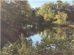 The lake surrounded by trees at PARK RIDGE RV CAMPGROUND - thumbnail