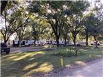 Trailers parked in sites under trees at PARK RIDGE RV CAMPGROUND - thumbnail