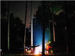 Car camping under a starry sky at AUBURN-OPELIKA TOURISM BUREAU - thumbnail