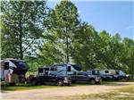 A row of trailers parked in sites at BSC OUTDOORS CAMPING & FLOAT TRIPS - thumbnail