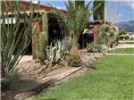 Campground building fringed with cacti and palms at DE ANZA RV RESORT - thumbnail