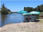 A couple of chairs under umbrellas by the river at KINGS RIVER RV RESORT - thumbnail