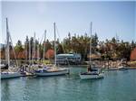 Boats docked at John Wayne Marina - thumbnail