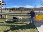 Two dogs playing in the enclosed pet playground at ASHLAND/HUNTINGTON WEST KOA HOLIDAY - thumbnail