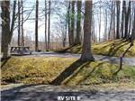 A picnic table in RV site number mine at RIFRAFTERS CAMPGROUND - thumbnail