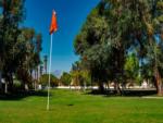 A flag on the golf course at EMERALD DESERT RV RESORT - thumbnail