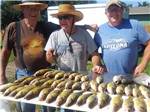 Three men standing with fish that they are getting ready to cut at COUNTY LINE RV PARK & CAMPGROUND - thumbnail