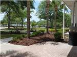 Picnic tables among tall shade trees - thumbnail