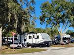 A travel trailer between two shade trees - thumbnail