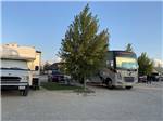 A couple of motorhomes in pull thru sites at RIVER'S EDGE RV RESORT - thumbnail
