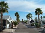 View larger image of Mobile homes and RVs at GOLDEN SUN RV RESORT image #1