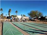 View larger image of Couples playing shuffleboard at ENCORE GOLDEN SUN image #3
