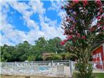 Swimming pool area at River Bottom Farms Family Campground - thumbnail