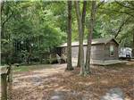 Wooden cabin at River Bottom Farms Family Campground - thumbnail