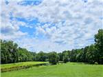 Tree lined field at River Bottom Farms Family Campground - thumbnail