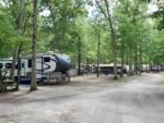 Parked trailers at site Spacious Skies Country Oaks - thumbnail