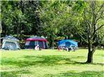 Tents set up at campsites at BALLARD'S CAMPGROUND - thumbnail