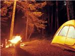 A tent set up near a fire pit at BALLARD'S CAMPGROUND - thumbnail