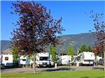 View larger image of RVs in sites with mountains in background at DESERT GEM RV RESORT image #9