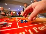 View larger image of Someone grabbing dice for craps at LITTLE RIVER CASINO RESORT RV PARK image #9