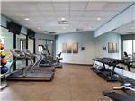 The gym - thumbnail