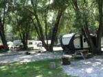 RVs parked in large, shaded sites - thumbnail