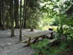 Picnic table at a site near a river - thumbnail