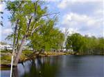 Trees along the water at Tranter's Creek Resort & Campground - thumbnail