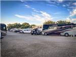 A row of motorhomes and trailers parked in sites at TRAILER VILLAGE RV PARK - thumbnail