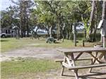 View larger image of A picnic table at a campsite at LANIERS CAMPGROUND image #7