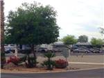 View larger image of Trailers camping at campsite at DEL PUEBLO RV RESORT image #3