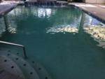 The swimming pool at PECAN PARK RIVERSIDE RV PARK - thumbnail