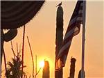 Sunset at park - thumbnail