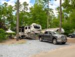 An RV parked in a shady site - thumbnail