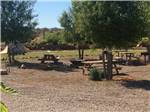Picnic benches under trees at BLUE MOUNTAIN RV AND TRADING - thumbnail