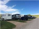 A long row of gravel RV sites at PETER D'S RV PARK - thumbnail