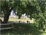 View larger image of A site under an apple tree at MID AMERICA CAMP INN image #5