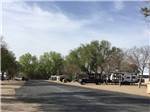 The paved road between RV sites at CORRAL RV PARK - thumbnail